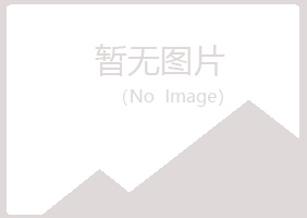 平房区平庸工程有限公司